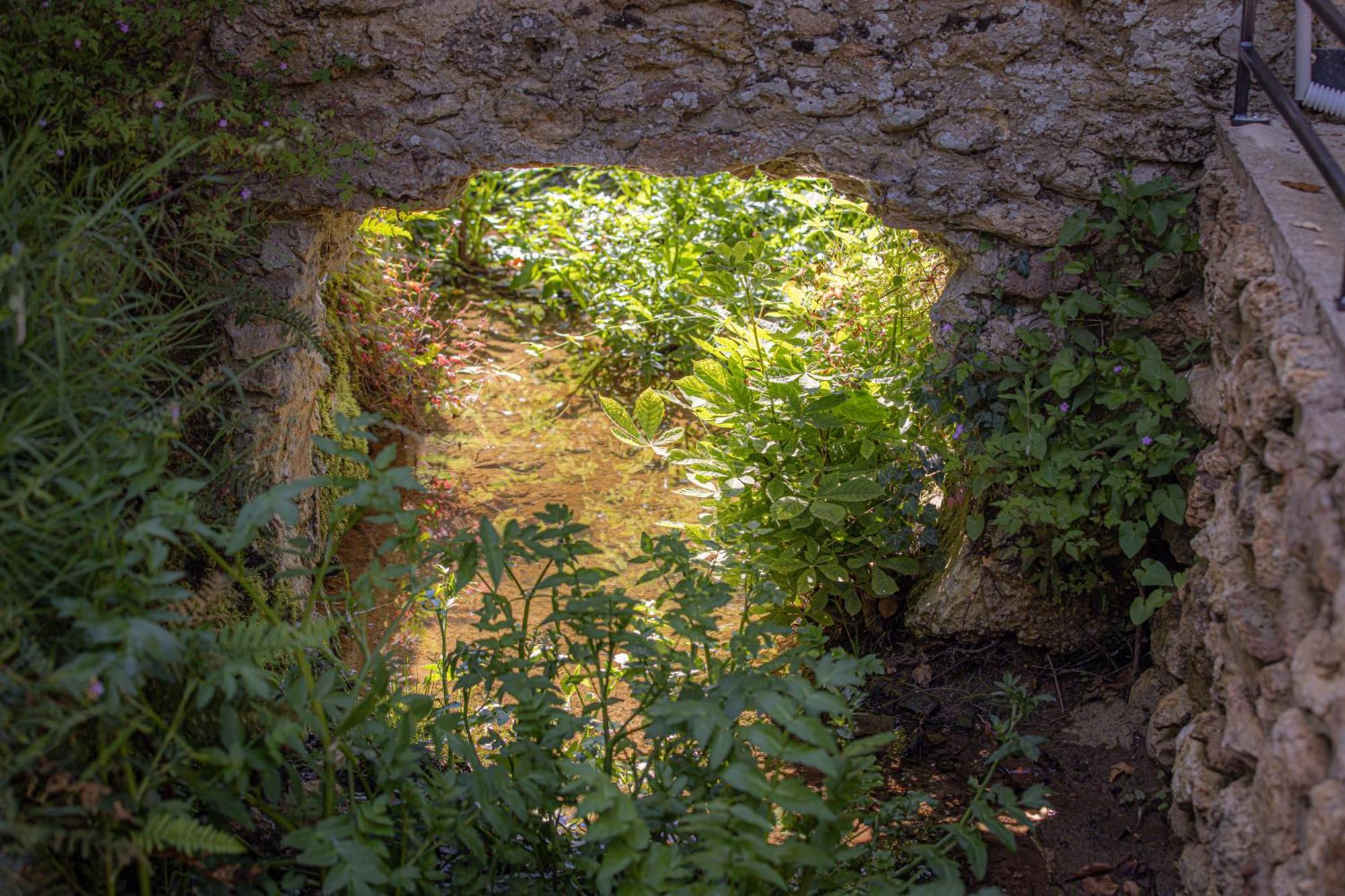 Le Ru De Biche - 20Min Disney - Spa Du 01 05 Au 01 11 - Paisible Guerard Bagian luar foto